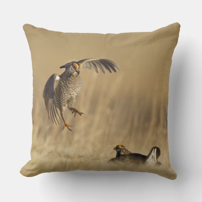 Coussin Tétras des prairies mâles au lek dans le comté de  (Recto)