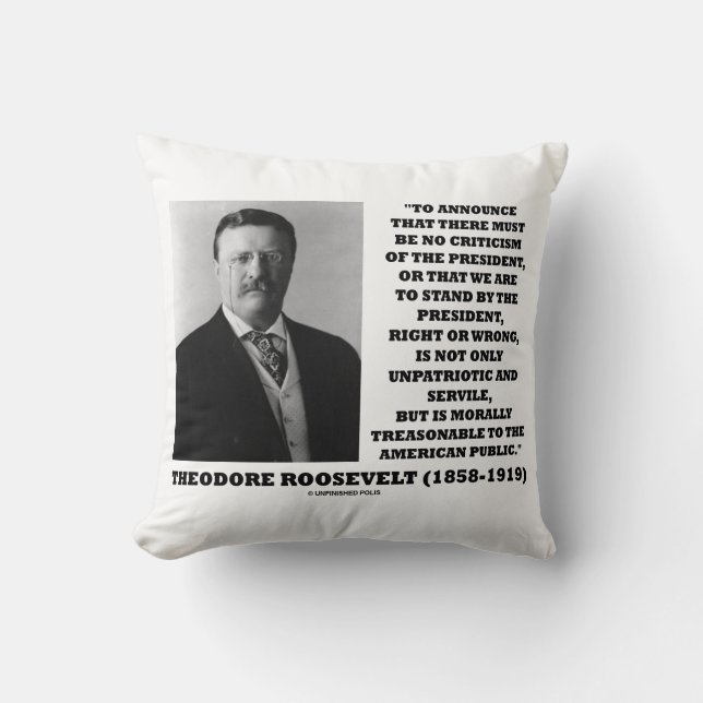 Coussin Theodore Roosevelt public américain raisonnable (Recto)