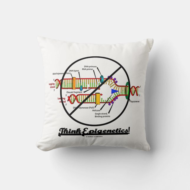 Coussin Think Epigenetics ! Humour de réplication d'ADN (Recto)