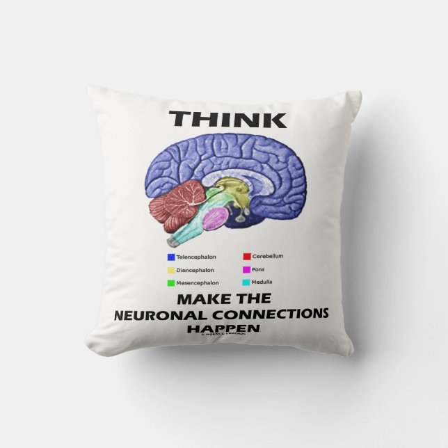 Coussin Think Make The Neuronal Connections Brain (Recto)