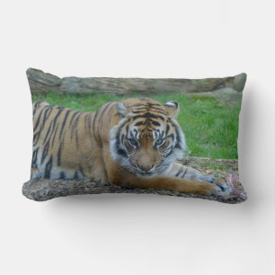 Coussin Tiger Lumbar de papa