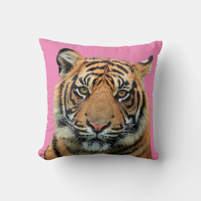 COUSSIN TIGER ROSE ORANGE JETER PILOTE (Recto)