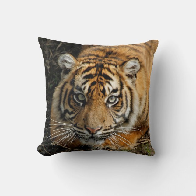 Coussin Tigre 037 (Recto)