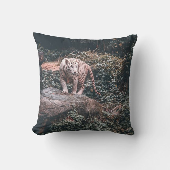 COUSSIN TIGRE BLANC EN PIERRE GRISE (Recto)