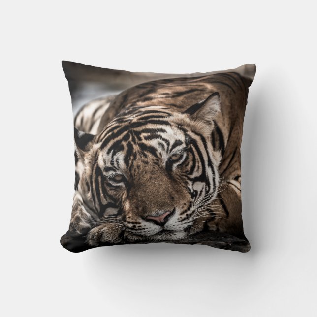 Coussin Tigre de Ranthambore : gros plan. (Recto)
