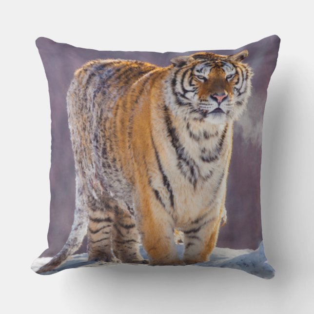 Coussin Tigre de Sibérie dans la neige, Chine (Recto)