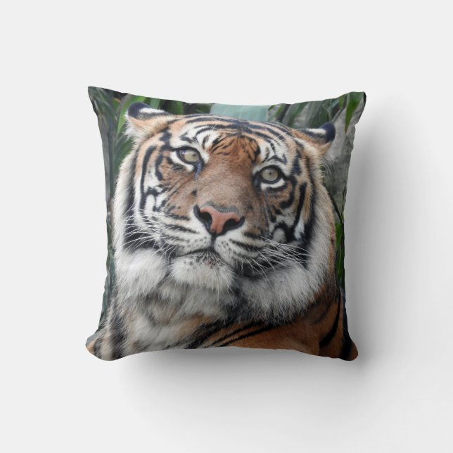 Coussin Tigre de Sumatran (Recto)