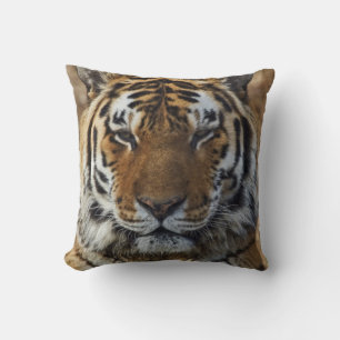 Coussin Tigre du Bengale, Tigre de Panthera, Zoo de Louisv