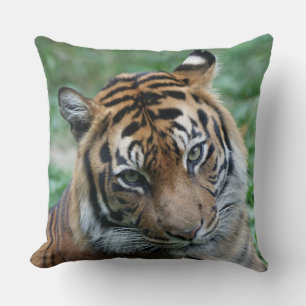 Coussin Tigre gauche et droite 002