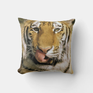 Coussin Tigre Zoo du Michigan