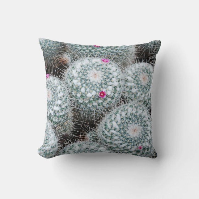 Coussin Tiny rose Fleurs Plantes Cactus (Recto)