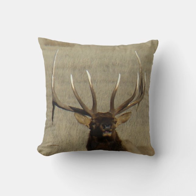 Coussin Tir principal de Taureau d'élans d'E29 Taureau (Recto)
