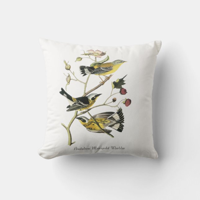 Coussin Tissu Audubon Paruline Soucis (Recto)