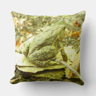 Coussin Toad de forêt