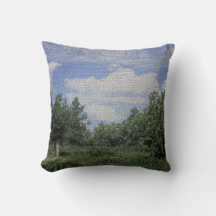Coussin Tonto National Forest Photo Mosaic Paysage