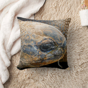 COUSSIN TORTOISE GÉANT