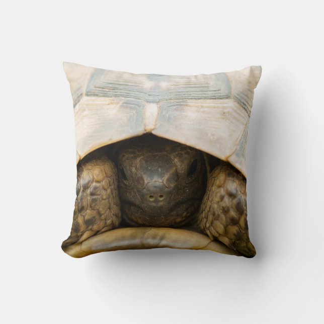 Coussin Tortue (Recto)