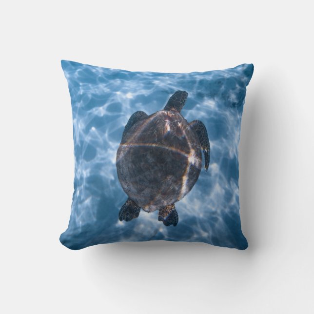 Coussin Tortue aquatique (Recto)