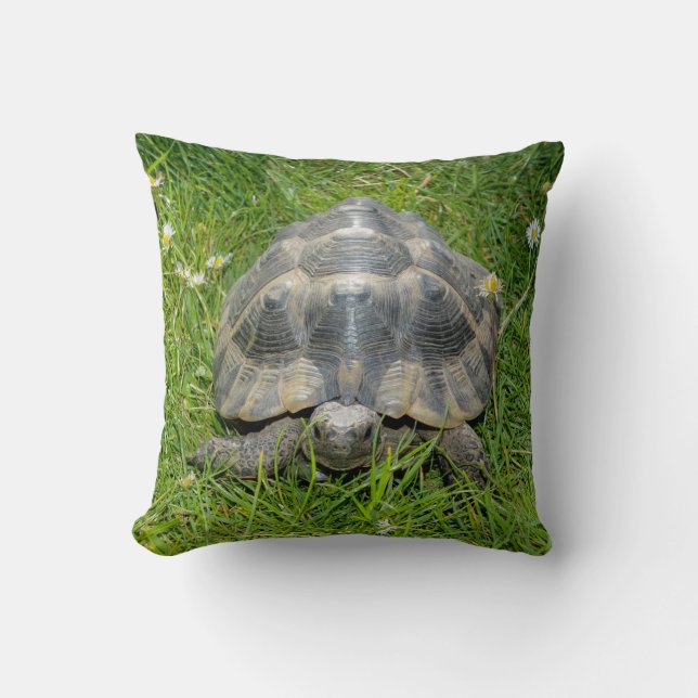 Coussin Tortue dans l'herbe verte (Recto)