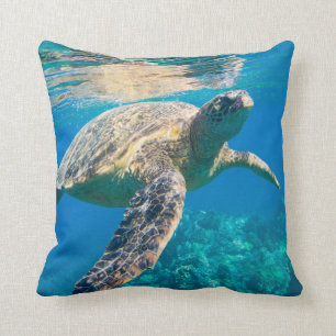 Coussin Tortue de mer, tortue marine, chélonioidea, reptil