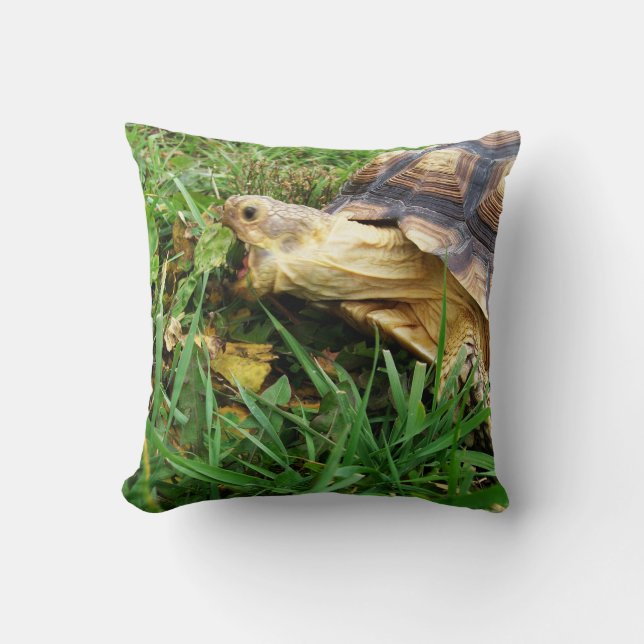 Coussin Tortue purée Africaine, Sulcata, Manger de l'herbe (Recto)