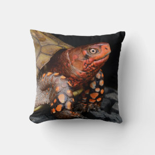 Coussin Tortue rouge-tête orientale