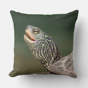Coussin Tortue sur La Chute
