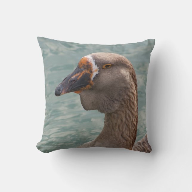 Coussin Toulouse Goose (Recto)