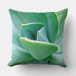 Coussin Tourbillon Succulent
