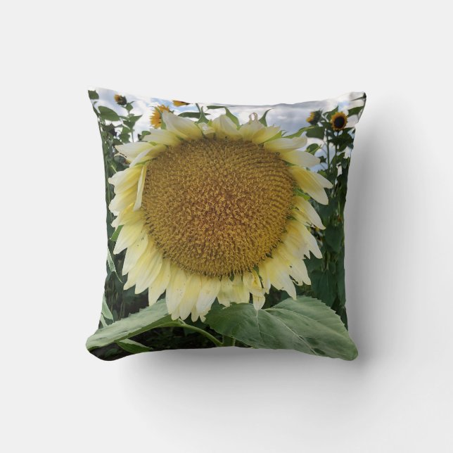 Coussin Tournesol blanc (Recto)