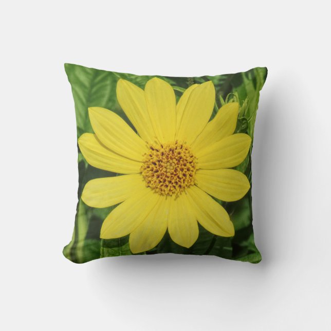 Coussin Tournesol de Helianthus 'Lemon Queen' (Recto)