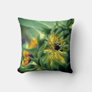 Coussin Tournesol se dépliant