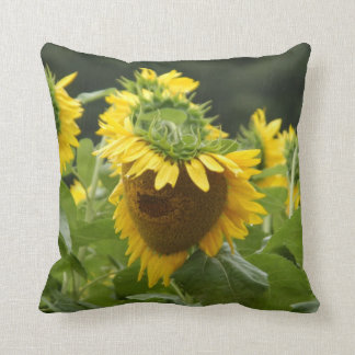 Coussin Tournesol sous la pluie