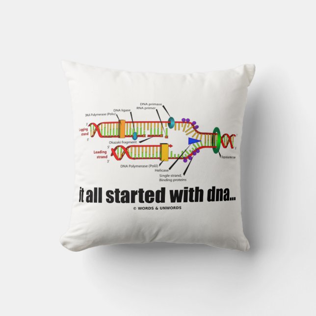 Coussin tout a commencé avec l'ADN. HUMOUR de réplication  (Recto)