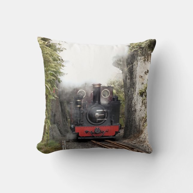 COUSSIN TRAINS À VAPEUR (Recto)