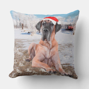 Coussin Très Beau Chien Danse Assis Dans Le Casquette De N