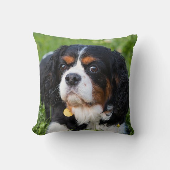 Coussin Tri Color Cavalier King Charles Spaniel Dog (Recto)