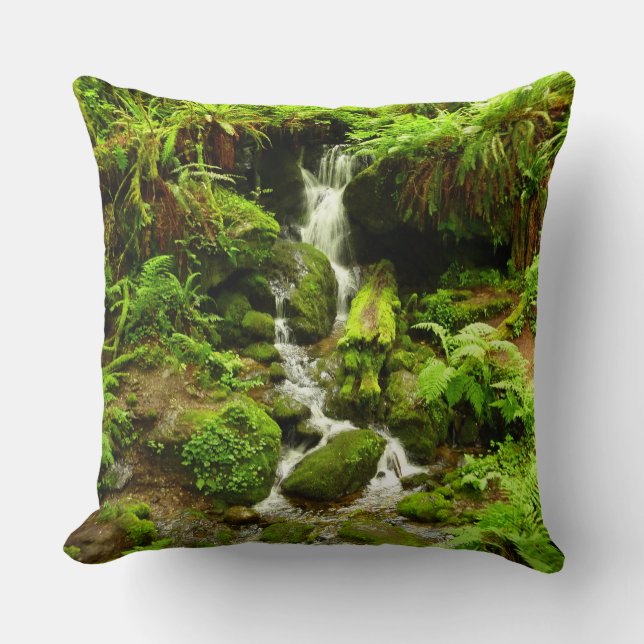 Coussin Trillium Falls à Redwood National Park (Recto)