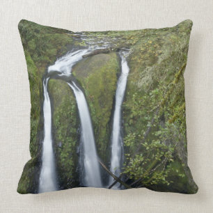 Coussin Triple Falls, Columbia River Gorge