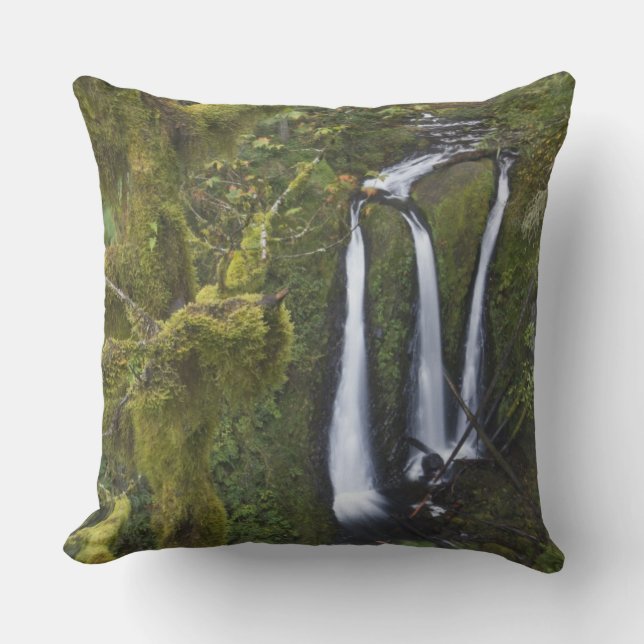 Coussin Triple Falls, Columbia River Gorge (Recto)
