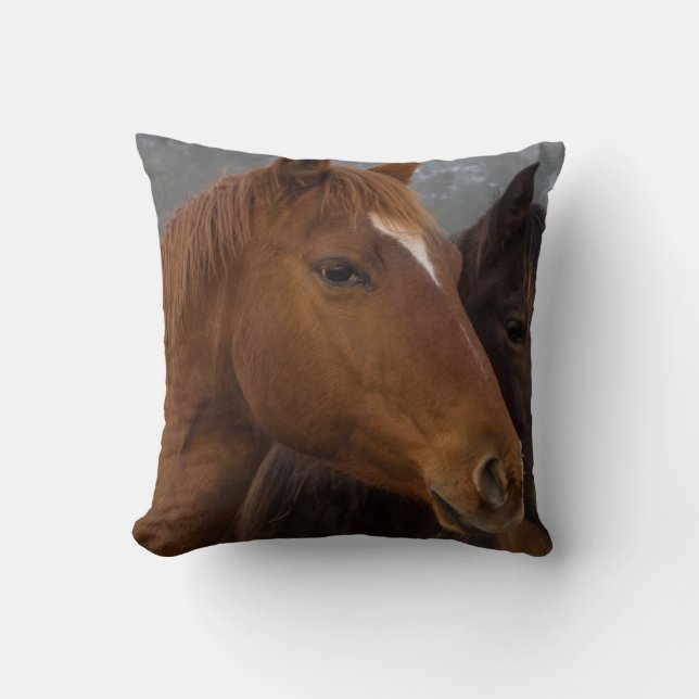 Coussin Triplés de chevaux (Recto)