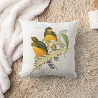 Coussin Trogon de Macklot,