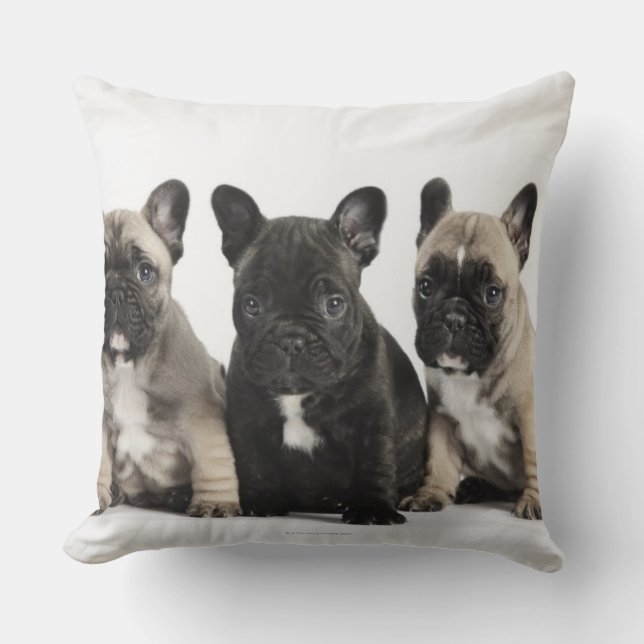 Coussin Trois Chiots Pedigree (Recto)