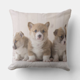 Coussin Trois corgis de Gallois