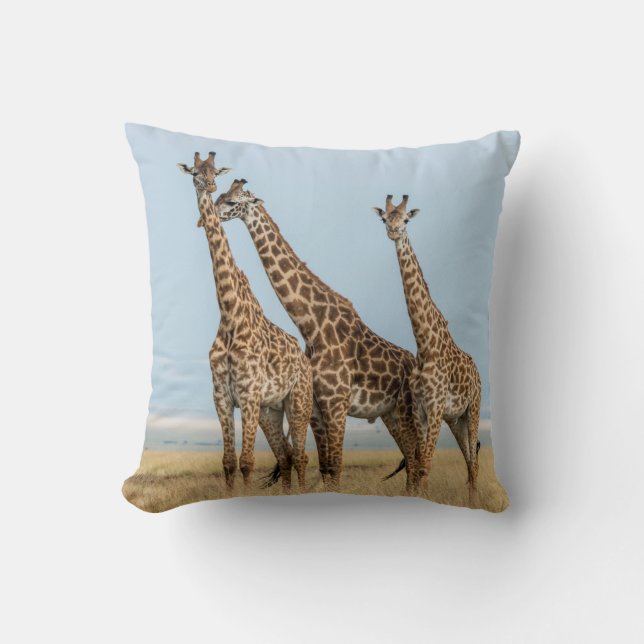 Coussin Trois girafes posant (Recto)