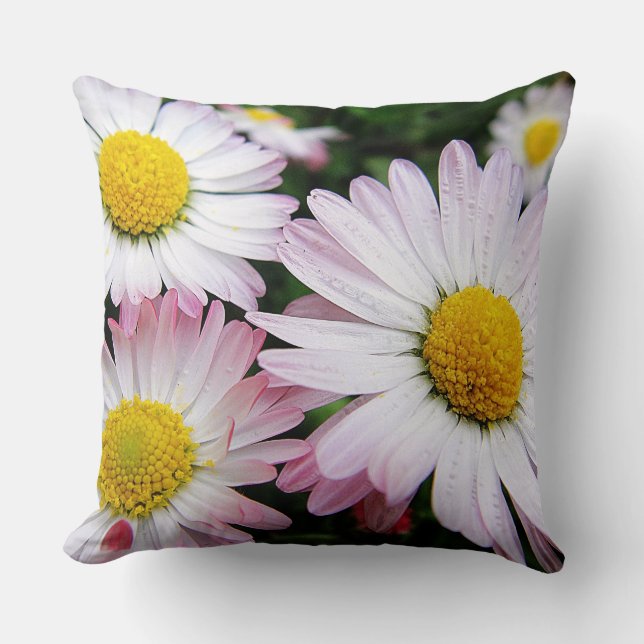 Coussin trois mignonnes marguerites roses (Recto)