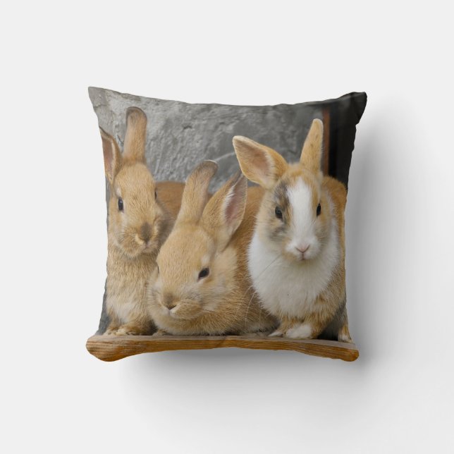 Coussin Trois mignons lapins de lapin (Recto)