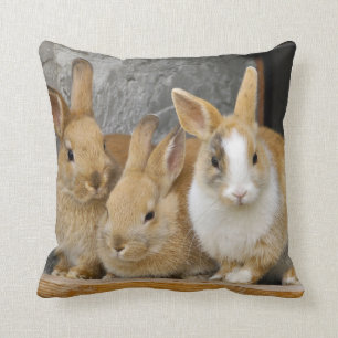 Coussin Trois mignons lapins de lapin