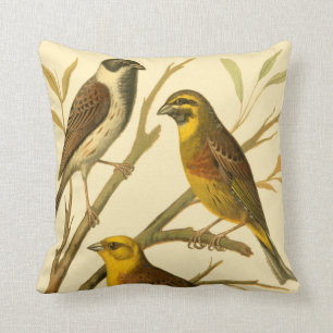 Coussin Trois oiseaux domestiques étés perché sur une