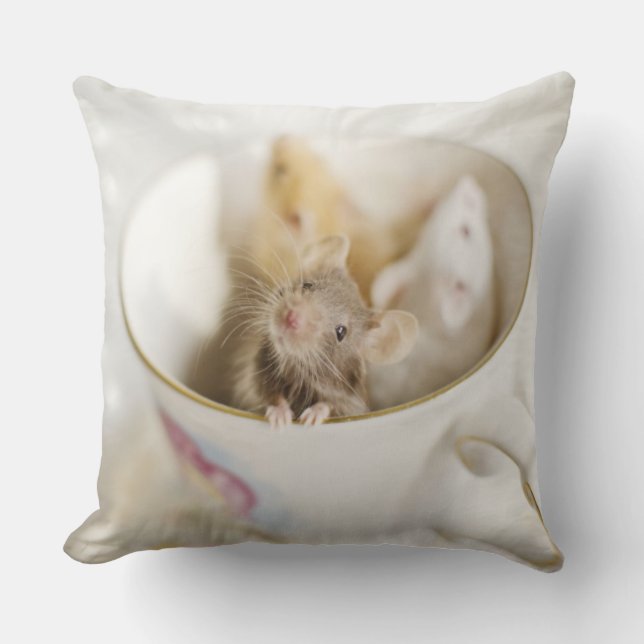 Coussin Trois petites souris (Recto)